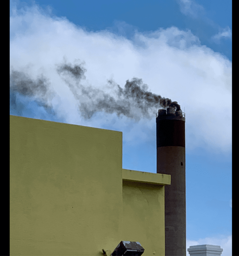 Skorstensrøg (maj 2020)