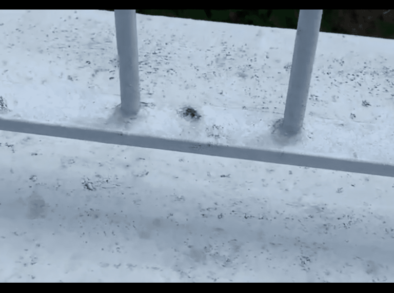 Sodforurening på privat terrasse (oktober 2020)